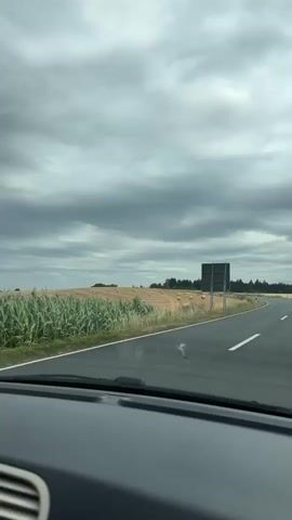 The video captures a view from inside a vehicle, looking out through the windshield. The perspective is from the passenger seat, as indicated by the dashboard visible at the bottom of the frame. Outside, a rural landscape unfolds under a cloudy sky. A paved road curves to the right, with a white line marking its edge. Adjacent to the road is a harvested field dotted with numerous round hay bales. The field is mostly brown and yellow, indicating dry grass. In the distance, a dark rectangular structure on a pole is visible in the field, possibly a sign or advertisement. Trees line the horizon in the far distance. The overall impression is a scenic drive through the countryside.