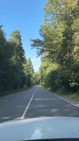 The video shows a view from inside a white vehicle driving on a paved road through a forest. Tall green trees line both sides of the road, creating a canopy overhead. The sky is blue with some clouds. The road has a white dividing line. There are a few other vehicles visible in the distance. The sun is shining, casting shadows on the road. The overall impression is a scenic drive through a natural environment.