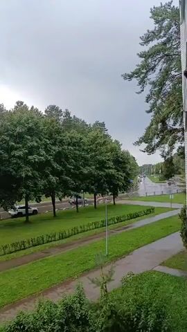 The video shows a view from a window or balcony looking out at a street with trees and cars. The sky is cloudy, and it appears to be raining or has recently rained, as the ground and pavement are wet. There are several cars visible on the road, and a row of trees lines the street. The overall impression is of a quiet, possibly overcast day.