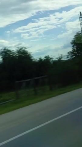The video captures a view from a moving vehicle, likely a car or bus, traveling along a paved road. The perspective is from inside, looking out a side window. On the right side of the frame, a clear white line marks the edge of the road, and a narrow strip of green grass separates it from a dense line of trees and bushes. Beyond the trees, a tall metal lattice tower, possibly a transmission or communication tower, stands against the sky. In the far background, distant hills or mountains are visible under a partly cloudy sky. The bright lighting suggests it is daytime. The motion of the vehicle blurs the immediate foreground slightly, while the background elements appear relatively stable. There are no people or discernible text visible in the frame.