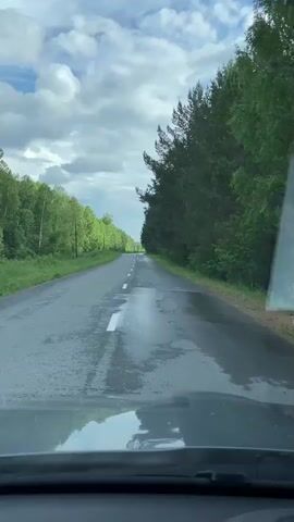 The video shows a view from inside a vehicle driving on a wet asphalt road. The road is lined with trees on both sides, with a dense forest of coniferous trees on the right and a lighter forest of deciduous trees on the left. The sky is cloudy with patches of blue. The road has white dashed lines marking the lanes and appears to be empty of other vehicles. Water is visible on the road surface, reflecting the sky and trees. The overall impression is that of a scenic drive through a wooded area shortly after rain.