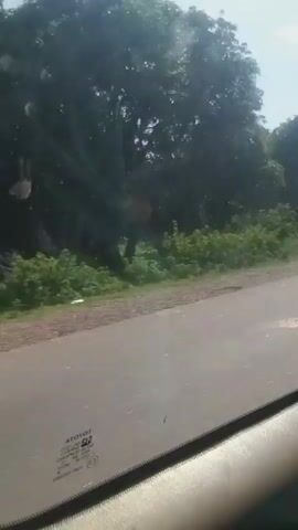 This media file is a short video clip recorded from inside a vehicle, likely a car, as evidenced by the car window in the foreground with visible text. The video captures a view of the landscape outside the vehicle. The primary subjects are the natural scenery and the road. We see a paved road in the lower half of the frame, with a grassy and wooded area beyond it. Lush green trees and vegetation dominate the background, suggesting a rural or semi-rural environment. The sky is visible at the top, with some scattered clouds, indicating daytime. The overall impression is a journey through a verdant landscape.

There are no people or specific objects clearly identifiable in the scene, apart from the car interior and the road. The activity is simply the movement of the vehicle, implying travel. The time of day appears to be daylight, and the weather seems clear with some clouds. Location cues are minimal, but the presence of lush vegetation could suggest a tropical or subtropical climate. The scene evokes a sense of calm and perhaps a journey in progress.

On the car window, there is visible text, including "ATOYOT" which is likely part of a manufacturer's logo or branding, and other smaller characters that are not clearly legible. The presence of this text further confirms the perspective is from within a vehicle. Given the location context of Lakweme, Nigeria, the scenery is consistent with the typical landscape of that region.