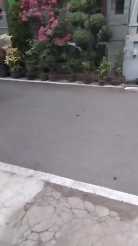 A person wearing a helmet and a dark jacket is riding a black scooter on a paved street. The scooter is moving from left to right in the frame. In the background, there are houses and trees. Some of the houses have decorative flags. The street appears to be in a residential area.