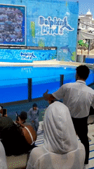 Visitors document morning activities at Serik theme park complex