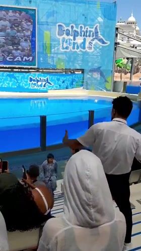 Visitors document morning activities at Serik theme park complex