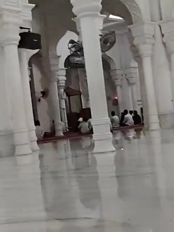 The video shows the interior of a white mosque. Several men are sitting on red prayer rugs, engaged in prayer or meditation. The mosque features rows of white pillars with ornate capitals, supporting arches. The floor is a shiny, reflective surface, likely marble, mirroring the pillars and figures. There are fans attached to the pillars. The scene is bathed in a soft, diffused light.