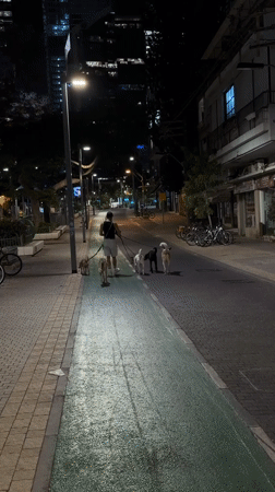 Man walks six dogs on Tel Aviv bike path