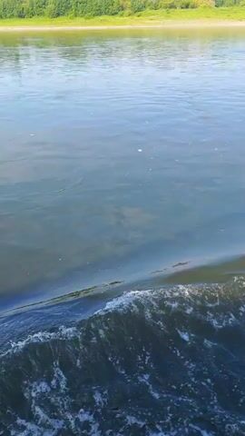 The video is a close-up view of a wave on a body of water. The water is a dark blue color and the wave is white and foamy. In the background, there is a green, tree-lined shore. The video appears to be taken from a moving boat.