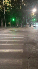 Pedestrians crossing a lit Yerevan street at night