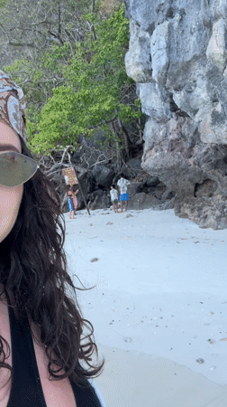Monkey walks across sand at Ton Sai beach, Thailand