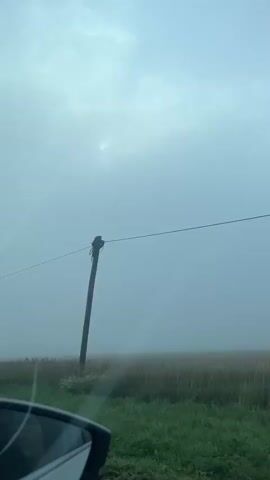 The video captures a view from inside a vehicle traveling through a foggy or misty rural landscape. A power line is visible stretching across the frame, dividing the sky from the fields below. The sky is overcast and hazy, with a faint suggestion of light breaking through. The fields consist of green grass and dry, tall stalks of vegetation. A portion of the vehicle's side mirror is visible in the lower left corner of the frame. The motion suggests the vehicle is in transit.