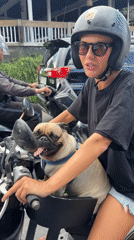 Motorcyclist spotted with pug passenger on Mengwi street
