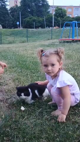 A young girl with blonde curly hair pulled into pigtails is crouching on a grassy area, her left hand gently petting a black and white cat that is also on the grass. The girl is wearing a light pink t-shirt and light pink pants. Her feet are bare. The cat is facing away from the camera and appears to be eating something small on the ground. To the left of the frame, another child's bare feet are visible. In the background, there is a red and blue playground carousel, a green fence, trees, and buildings. The overall setting appears to be a park or playground. The video is shot from a slightly elevated angle, looking down at the girl and cat.
