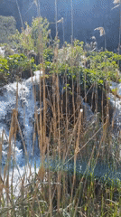 Small waterfall flows over mossy rocks in Rastovača, Croatia