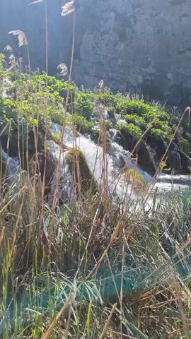 The video shows a small waterfall cascading over mossy rocks. In the foreground are tall, dry grasses and other green vegetation.  The water is white and foamy as it flows. The sky is blue and the sun is shining.