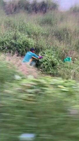 A person wearing a teal shirt with yellow accents and purple gloves is trimming vegetation with a tool. They are positioned on a grassy embankment, with a green plastic bag visible nearby. The background is blurred, indicating motion, and appears to be a natural, overgrown landscape.