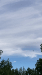 Casual afternoon moments: sky watching, cooking, portrait captured