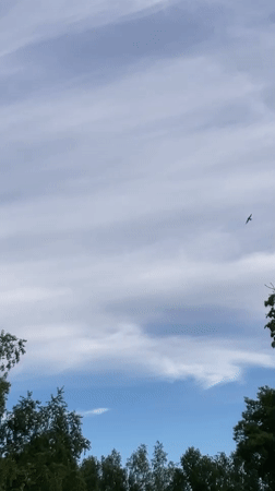 Casual afternoon moments: sky watching, cooking, portrait captured