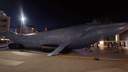 Giant inflatable blue whale on display in Varna square