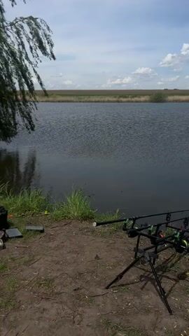 The video depicts a fishing trip. In the first scene, we see fishing rods propped up near a lake, alongside a fishing bag, bait, and other supplies. The next scene shows two men standing near a black car with its trunk open, parked on a grassy area beside the lake. The final scene shows the interior of a tent, where two people are sitting and eating at a table.