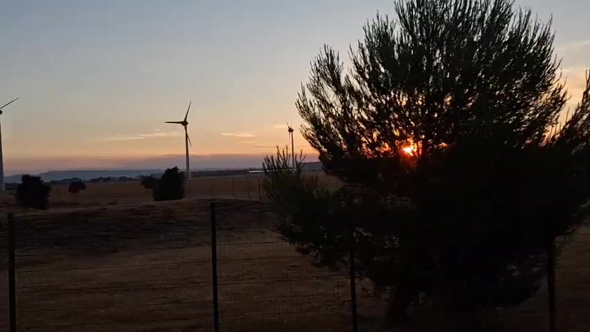 The video shows a sunset over a rural landscape. A large tree is in the foreground, with a wind turbine in the background. The sky is filled with orange and pink clouds, and the sun is setting behind a distant ridge. The ground is covered in dry grass, and there is a fence running across the middle of the frame. The video is shot from a fixed position.