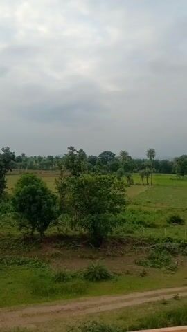 The video shows a panoramic view of a rural landscape under a cloudy sky. Lush green fields and trees dominate the scene, with a dirt path visible in the foreground. In the distance, rolling hills can be seen. The camera pans slowly across the landscape, capturing the tranquility of the natural environment. There are no people or animals visible in the video. The lighting suggests it is daytime, possibly late afternoon or early morning, given the overcast conditions.