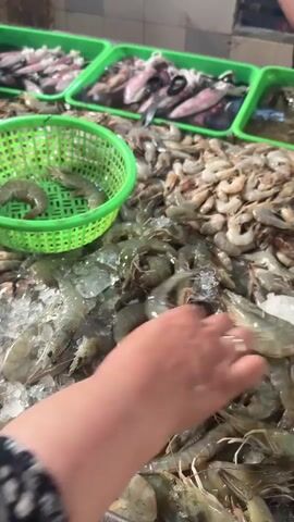 The video shows a person selecting shrimp from a pile on ice in a market. The shrimp are a mix of sizes and colors, ranging from small and pale to larger and grayer. The person's hand, wearing a gold ring, picks up individual shrimp, examining them. A bright green plastic basket sits nearby, partially filled with similar shrimp. In the background, several green plastic trays hold other seafood, including squid and other types of fish. The market setting is suggested by the tile wall and the arrangement of seafood on display.
