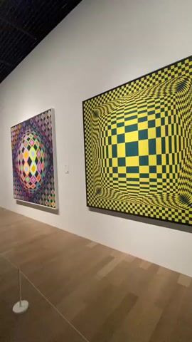 The video shows two optical illusion paintings hanging on a white wall in an art gallery. The painting on the left is a sphere made of diamonds of various colors, including purple, pink, green, yellow, blue, and orange. The painting on the right is a checkered pattern in yellow and dark green that appears to warp and curve, creating a sense of depth. The floor is made of polished wood planks. A white stanchion with a thin pole stands in the foreground on the left. The lighting is bright, and the overall environment is clean and modern. There are no people visible in the video.