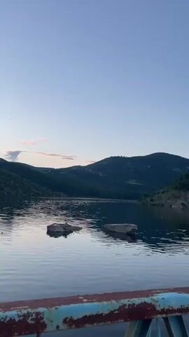 The video begins with a wide shot of a tranquil lake at dusk. The water is calm, reflecting the clear, pale blue sky and the dark, tree-covered mountains that surround it. Two rectangular, submerged structures are visible in the water, their tops just breaking the surface. The foreground shows the edge of a rusty, blue-painted railing, suggesting the viewer is on a bridge or pier.

The camera then pans to the right, revealing more of the bridge's structure. The railing continues, and a black backpack, a bottle of water, and a plastic bag are placed on the concrete walkway. The lake stretches out to the right, bordered by lush green hillsides densely populated with pine trees.

The camera continues to pan, showing the length of the bridge. It's a suspension bridge with a narrow concrete walkway and a blue metal railing. The cables of the suspension system are visible stretching upwards. In the distance, the bridge continues towards a central tower structure.

The video then shifts to a view looking down the length of the bridge. The backpack, water bottle, and plastic bag are still visible on the walkway to the left. The bridge extends across the water, with the forested mountains forming a backdrop on either side. The sun appears to be setting, casting a soft light.

The final shot is a closer view of the railing on the bridge, showing its weathered, rusty condition. The lake is visible on the left, with the green, forested hills on the right, and the sky above is a clear, pale blue with a hint of pink near the horizon, indicating the progression of dusk.