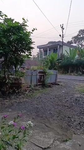 The video shows a rural scene with a house and a fence. A tree is on the left side of the screen. The fence is made of corrugated metal and wood. A road is visible in the background, and a utility pole stands near the road. Flowers are in the foreground. The overall impression is one of a quiet, residential area.