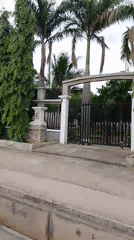 Vehicle passes ECWA Good News School amid trees