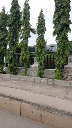 Vehicle passes ECWA Good News School amid trees