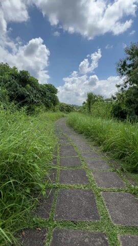 The camera points forward along a pathway composed of square stones, with green grass growing between the stones. The pathway leads through an area of tall green grass and trees on either side. Above, a blue sky is partially covered by puffy white clouds. A bird call is heard.
