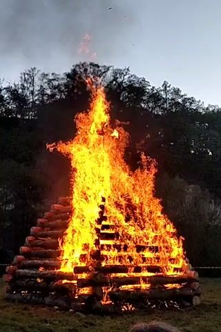 A large bonfire burns brightly in a field. The bonfire is constructed of logs, stacked in a square pyramid shape. Flames reach high into the air, with smoke rising above them. In the background, a line of trees is visible against a darkening sky. People are standing in the foreground, observing the fire.