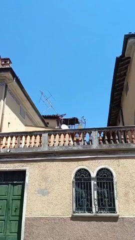 The camera looks up at the side of a light-yellow building on a bright, sunny day. A green, double-paneled door is to the left, and to the right are two arched windows covered with black iron bars. Above this is a balcony with a brown and gray railing. On the balcony sits a small, white satellite dish underneath a partially collapsed shelter. A television antenna is also visible. A building is on either side of the one in focus, creating a small gap that gives a view of the clear, blue sky.