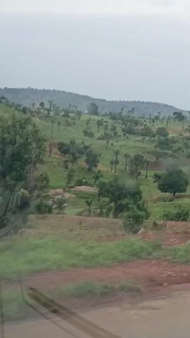The video shows a landscape of green, rolling hills and scattered trees under an overcast sky. The camera is likely moving in a vehicle, as the foreground shows the side of a road with green vegetation. The hills in the distance are partly obscured by mist or haze. The land appears to be a mix of grassland and cultivated areas.