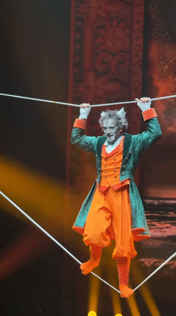 Circus performance with tightrope acts and goats in Sochi