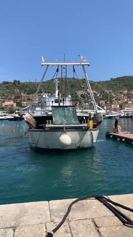 A fishing boat is backed into a dock. A person stands on the dock near the boat. The boat has a net hanging from its stern. There are seagulls on the boat and in the air. In the background, there are other boats docked and a town on a hill. The water is blue and calm. The sky is clear and blue.