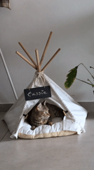 Cassie the cat lounges in her named teepee bed