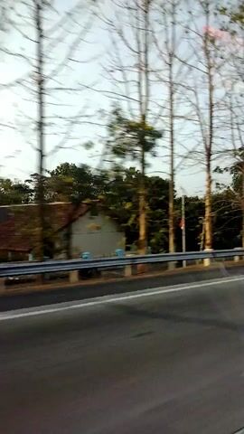 A slightly blurry video taken from a moving vehicle shows a roadside scene. In the foreground, a gray asphalt road with white and yellow lines is visible. A metal guardrail with blue and white posts separates the road from the area beyond. Behind the guardrail, a path or narrow road runs alongside. Further back, a building with a red tiled roof and white walls is partially obscured by trees. The background consists of tall, slender trees, some bare and some with sparse foliage, against a bright, overcast sky. The overall impression is of a rural or suburban environment during the daytime. There are no people or animals visible in the footage.