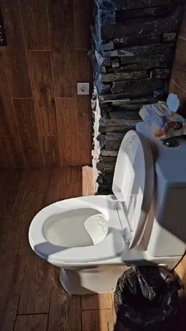 The video begins with an indoor shot of a white toilet with its lid open, revealing a white plastic cup inside the bowl. To the left, a wooden-patterned wall or floor is visible, and to the right, a dark trash can and a stone-clad wall are present. An electrical outlet is on the wooden wall above the toilet. The camera then pans up and to the right, revealing an open wooden window frame. The view shifts to an outdoor scene of a lush green valley with rolling, tree-covered mountains in the background under a blue sky with scattered white clouds. In the midground, there are cultivated green fields and dense foliage, including trees and flowering white shrubs. A small, light-colored building with a dark roof is nestled within the green landscape. The camera slowly pans across this panoramic view.