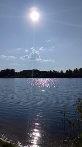 This is a landscape video filmed vertically. The scene depicts a body of water, likely a lake, with a lush green forest lining its distant shore. The sky is a vibrant blue, dotted with fluffy white clouds. The sun is bright and positioned on the left side of the frame, casting a strong glare and reflecting off the water's surface, creating shimmering patterns. The overall impression is a tranquil, sun-drenched summer day. The time of day appears to be midday or early afternoon, given the intensity of the sunlight. The setting is natural and serene, evoking a sense of peace and quiet. There is no visible text in the video.