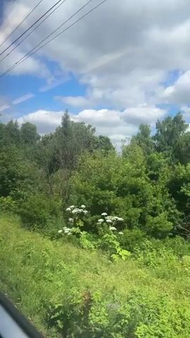 The video shows a view from a moving vehicle, likely a train, looking out a window at a rural landscape. The foreground is dominated by green grass and vegetation. In the middle ground, there is a wooden fence and various trees. In the background, there are more trees and a bright blue sky with scattered clouds. There are also power lines visible across the top of the frame. The scene appears to be a sunny day.