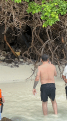 Beach morning in Krabi: snorkeling, longtails, and monkeys