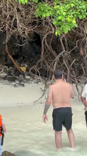 Beach morning in Krabi: snorkeling, longtails, and monkeys
