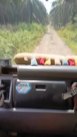 The video shows the interior of a vehicle from the driver's perspective, looking out through the windshield. A dirt road, flanked by tall palm trees and dense green vegetation, stretches ahead. The dashboard is visible, featuring a glove compartment with a sticker that reads "BEBEK GORENG" (fried duck). A strap from a seatbelt is visible on the right side of the frame, held by a person's hand. A decorative bolster pillow with colorful square accents is placed along the top of the dashboard. The vehicle is moving along the road.