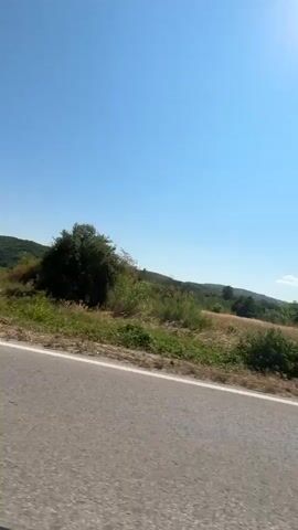 The video begins with a wide shot of a road with a grassy embankment and trees on the left, and dry grass and hills in the background under a clear blue sky. The camera then shifts to a view from inside a car, looking out the passenger window. A side mirror reflects the road and the passing scenery. The perspective then moves to a forward-facing view from the driver's seat, showing the steering wheel, dashboard, and the road stretching ahead. The car is driving on a paved road through a rural landscape with hills and trees on either side. The sky remains clear and blue.