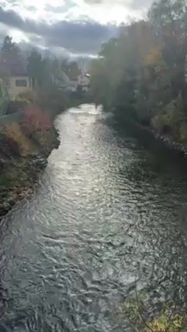 The video shows a river flowing through a town, taken from an elevated position. The river is the central focus, with the current visibly moving downstream. The water is dark and reflects the sunlight, creating shimmering patterns on the surface. Both banks of the river are lined with greenery, including trees and bushes. On the left bank, there are houses or buildings visible, indicating a residential area alongside the river. The sky is overcast, with clouds partially obscuring the sun, which still manages to cast light onto the scene. The overall impression is that of a peaceful, natural environment interwoven with human habitation.