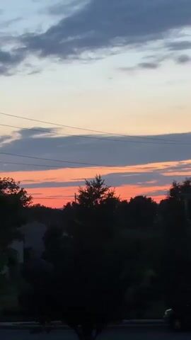 The video captures a silhouetted tree against a sunset sky. The sky exhibits layers of color, with a pale orange and pink band near the horizon, transitioning to gray and then a light, almost white hue at the top. Several dark, thin horizontal lines, likely power lines, are visible across the sky. Dark foliage and tree lines form the lower portion of the frame, obscuring the ground. The overall impression is a serene, late evening landscape.