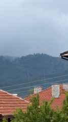 Foggy afternoon scenes captured across Velingrad rooftops and gardens